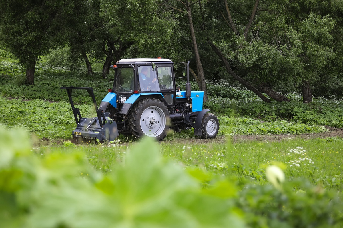 Фото: КомБлаг 