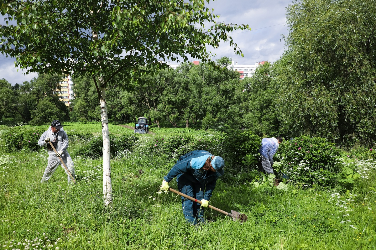 Фото: КомБлаг 