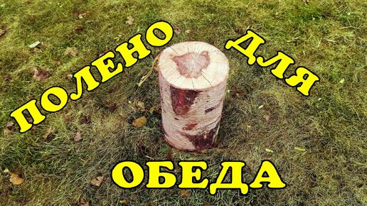 Полено для обеда!