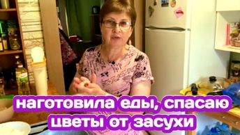 НАШЕСТВИЕ ТЛИ, НАГОТОВИЛА НА ЗАВТРА ЩИ С ГРИБАМИ И КОТЛЕТЫ ИЗ КУРИЦЫ, ПОЧЕМУ НЕ ОТКАЖЕМСЯ ОТ ЗЕМЛИ