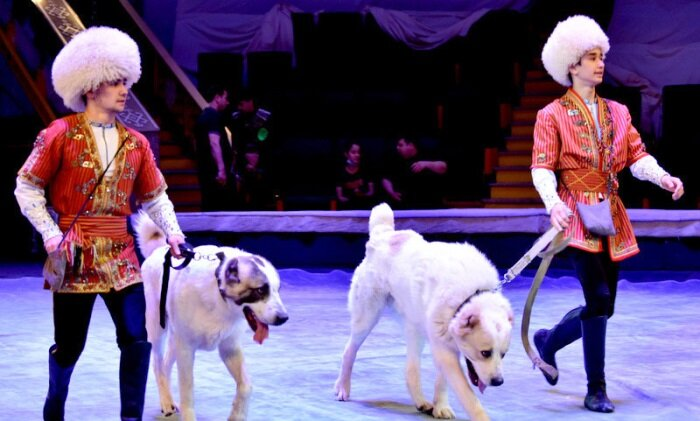 Источник фото: turkmenistan.gov.tm