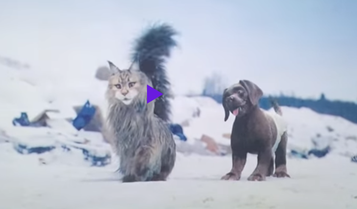  Именно поэтому щенок в подгузнике