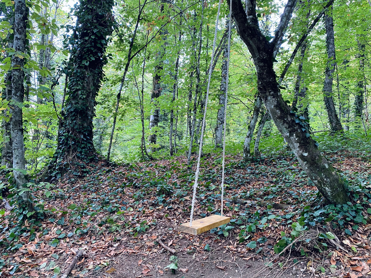 Подобные незамысловатые качели были моим любимым развлечением на даче.