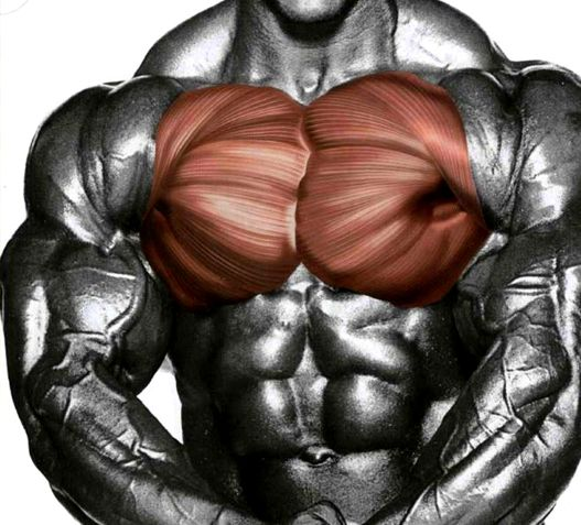 Источник фотографии: Яндекс картинки 
