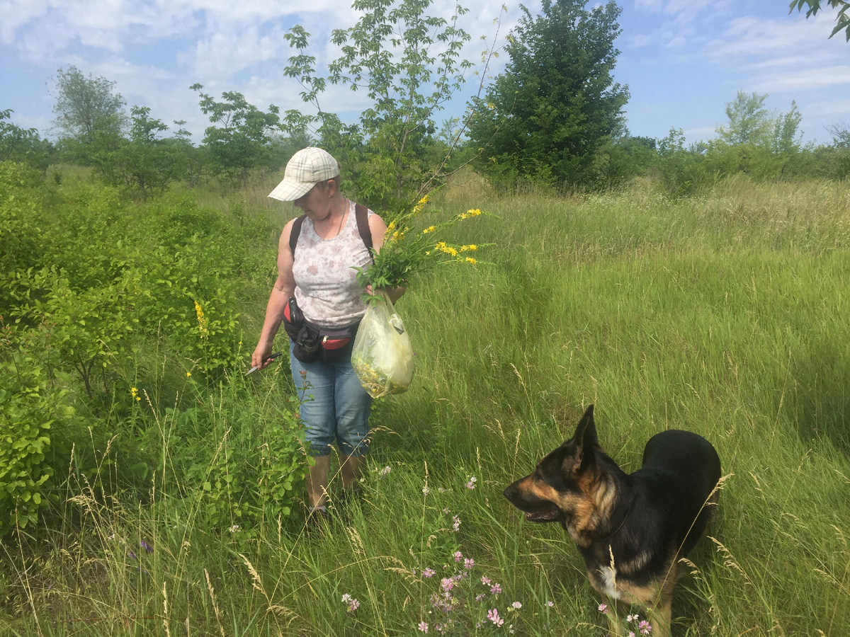 Фото автора