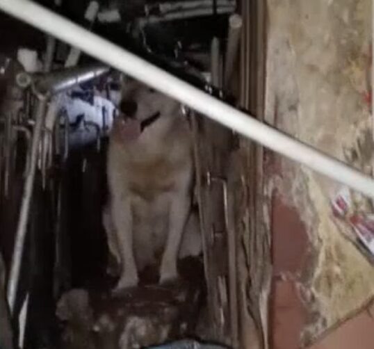    Татарстан-24