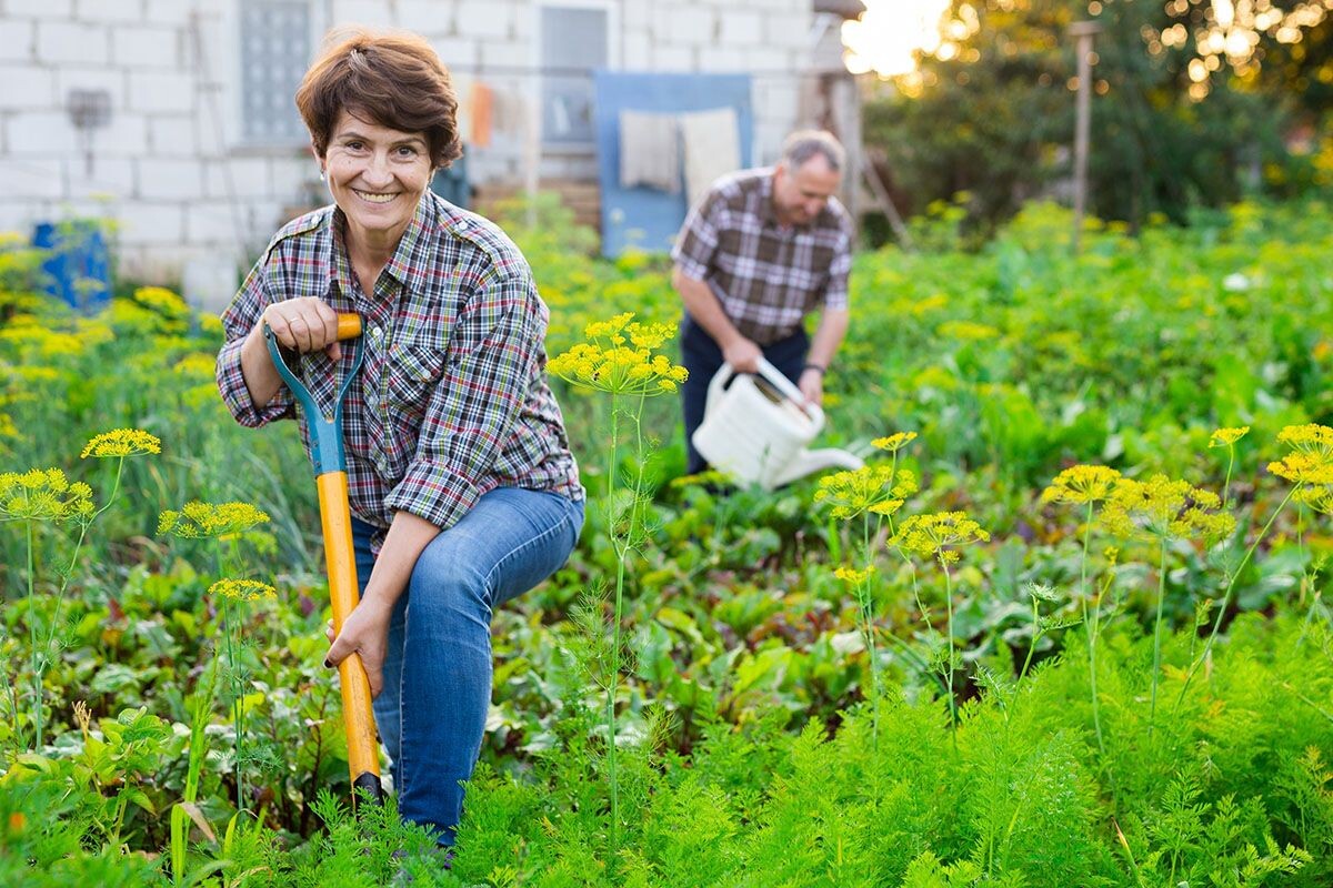 Для многих дача — место силы. Чтобы не разочароваться в покупке, нужно тщательно проверить дом и участок до заключения сделки. Источник: shutterstock.com📷
