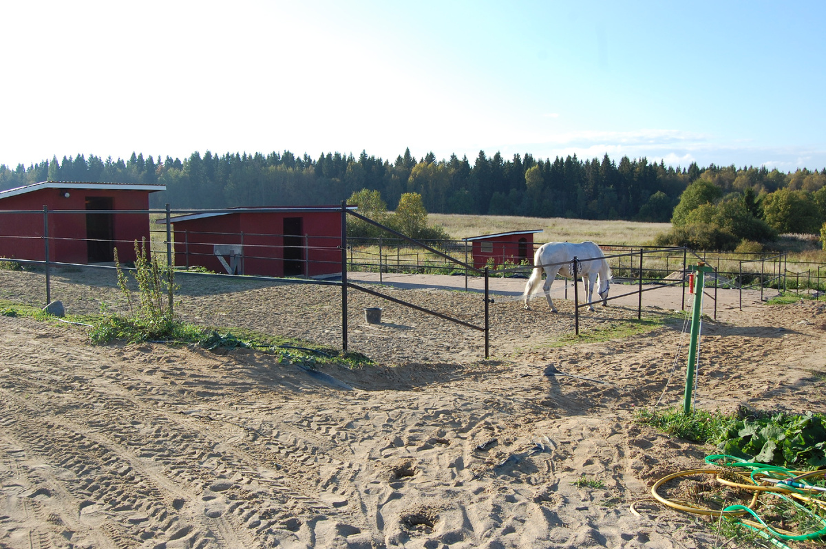 левады с шелтерами (укрытиями от дождя и ветра)