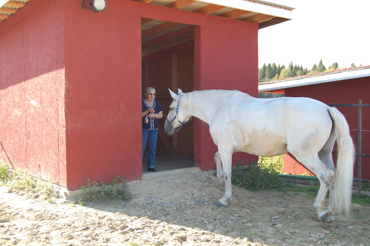 мама заманивает Лесю в шелтер