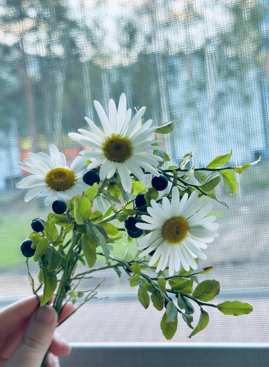 Вот он мой нежный букет. 