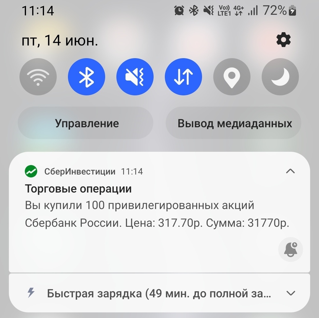 Покупка автора на брокерский в долгосрочный портфель 14.06.24.