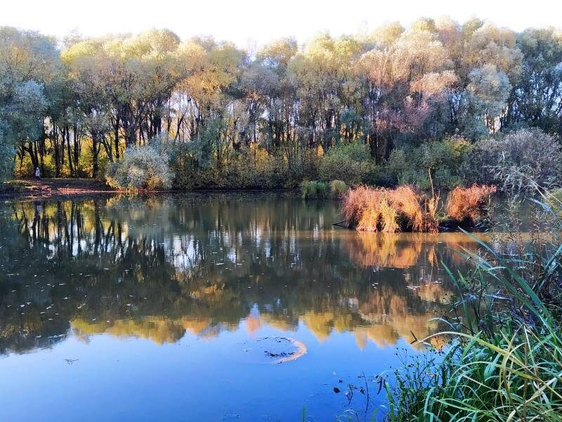 Великолепные картины Строгинской поймы