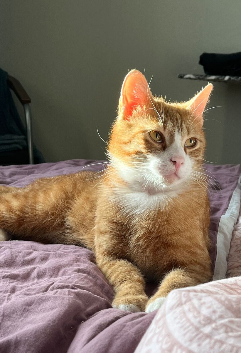 ПАРАМОША дома!