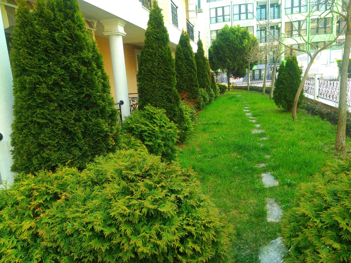 Территория вокруг дома