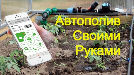 Автополив своими руками