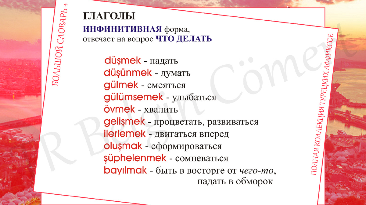 Современный турецкий язык представлен:
1.  литературным письменным языком, который образовался, по существу, только в середине XIX века, а современные свои нормы получил после революции 1919-1923 гг.-2