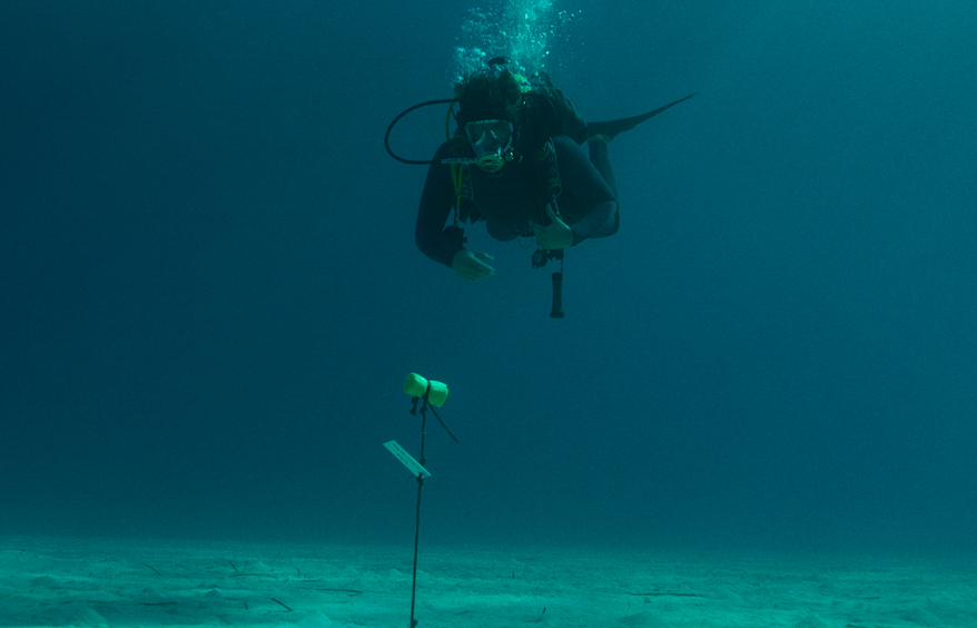 Кадр из фильма