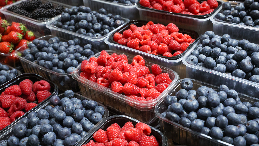    Фото: Petrov Sergey/news.ru/Globallookpress