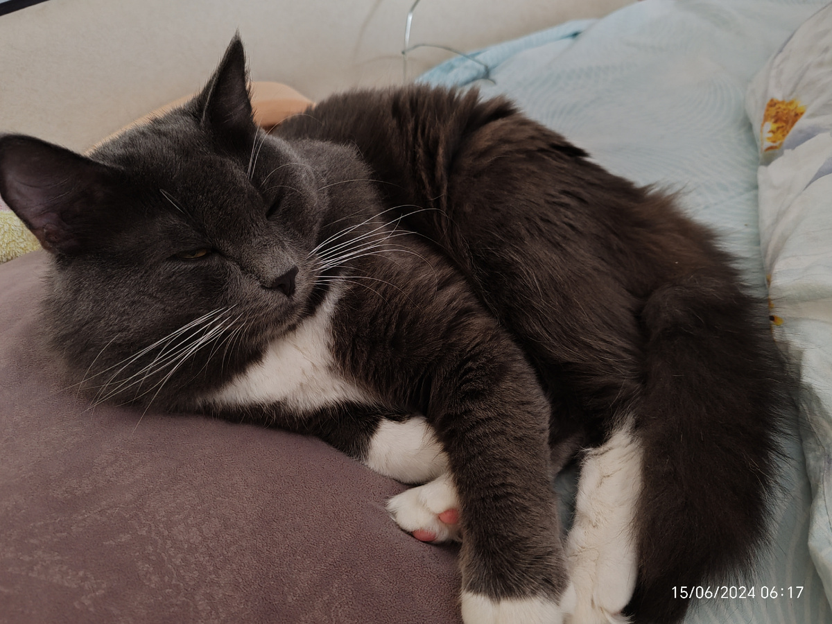 Фото автора канала. 