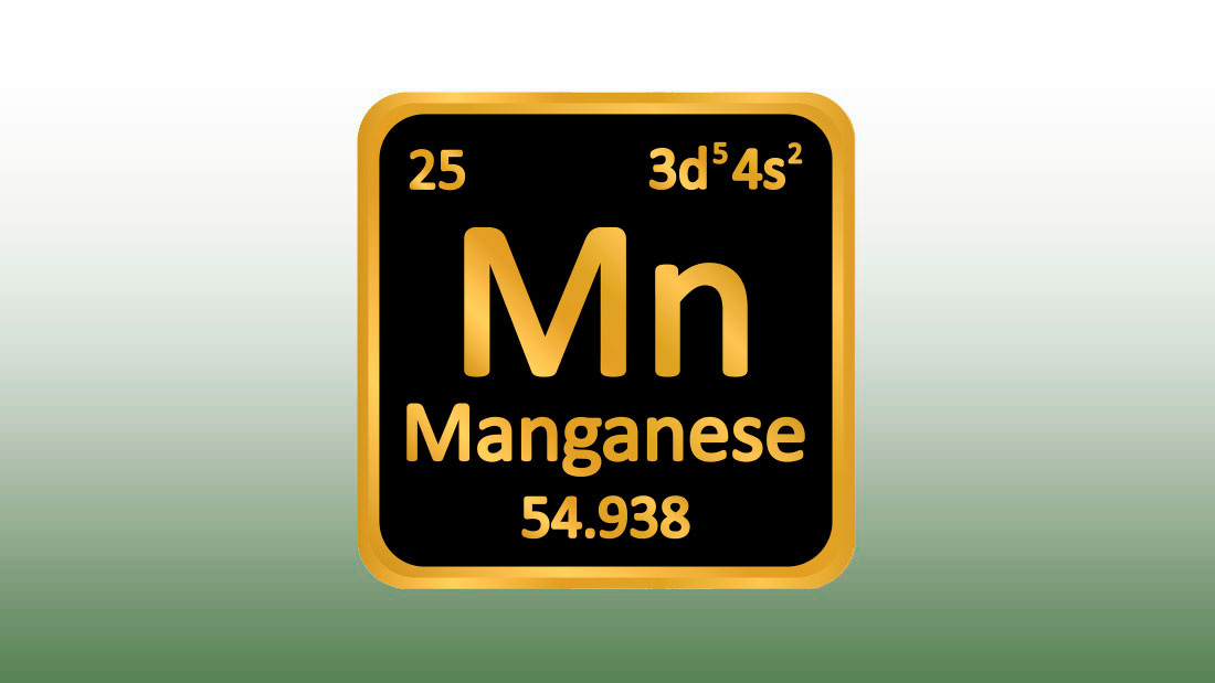 Фото: vectorstock.com 