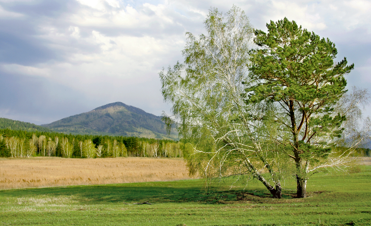 Фотография, стихотворение Василия Глуцкого