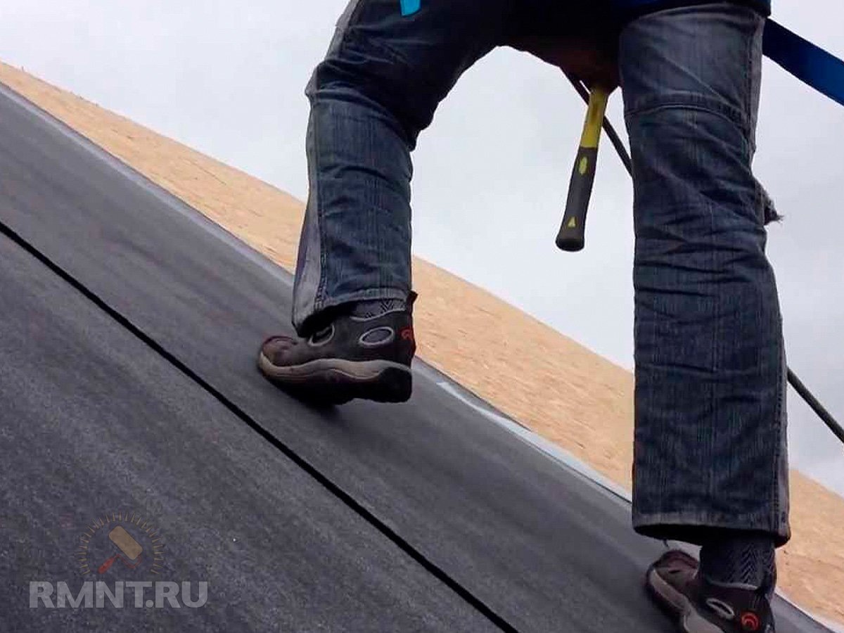   Фото katepal-russia.ru