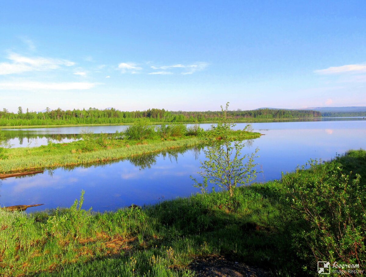 Зеленый мысик.
