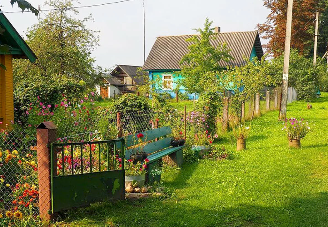 Яндекс картинки