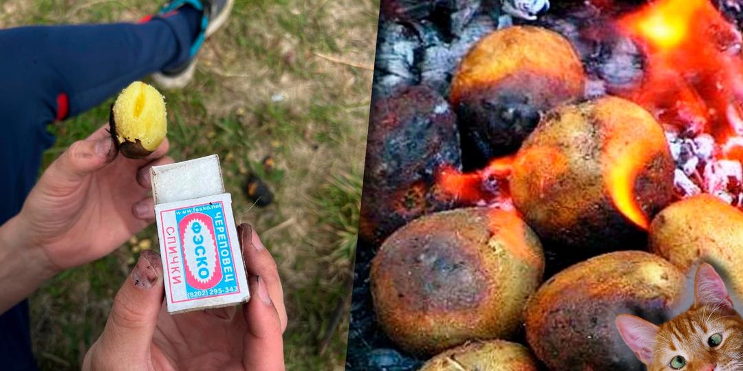 Самая вкусная летняя еда. Картошка за печённая в костре, да с солью. Я её особо и от золы не чищу, так ем