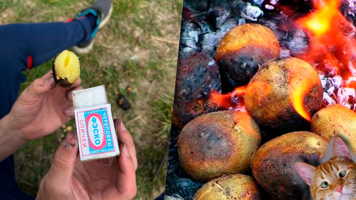 Фото с просторов интернета