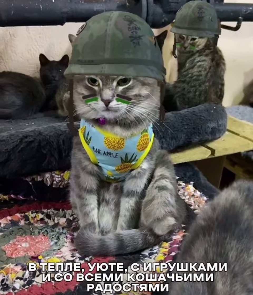 Скриншот из Инстаграм Александра