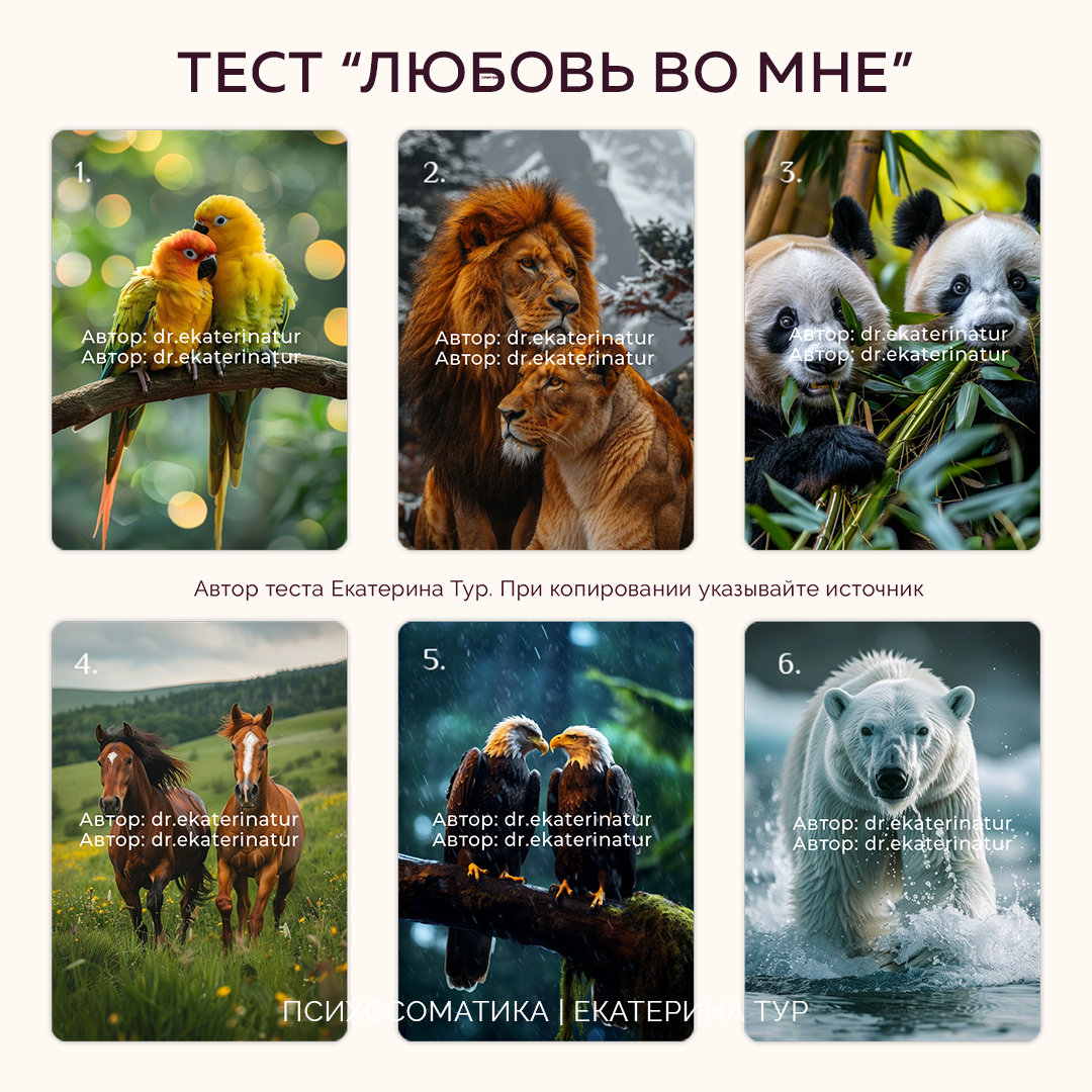 Копирование запрещено. Работает команда по защите интеллектуальной собственности.