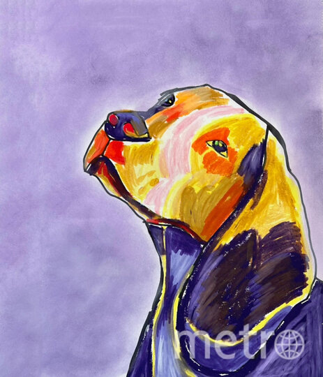    Фото: соцсети.