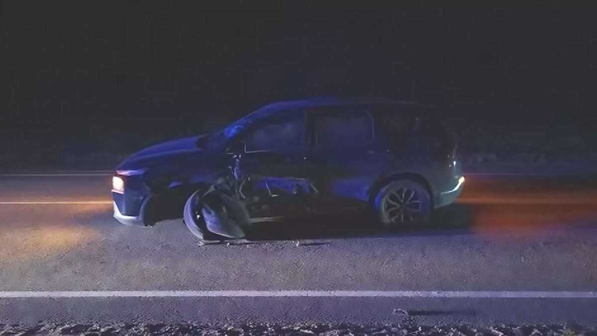     Источник: ГУ МВД России по Волгоградской области