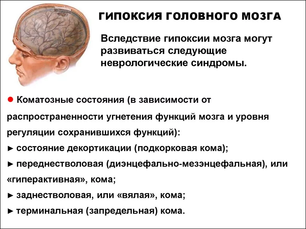 Гипоксия головного мозга: что это? - гимнастика: упражнения и инвентарь