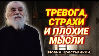 Мы утопаем в тревогах! Боимся всего, боимся за всех... Письма архимандрита Иоанна (Крестьянкина)