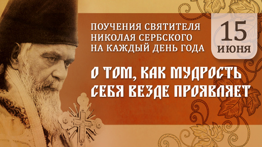 О том, как мудрость себя везде проявляет. Святитель Николай Сербский. Поучения на каждый день года