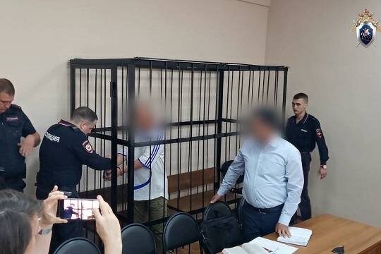    Виновник смертельной аварии в Благовещенске раскаялся и попросил сурово его наказать