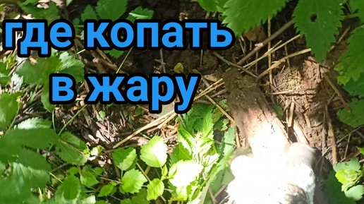 Коп после болезни, где копать в жару