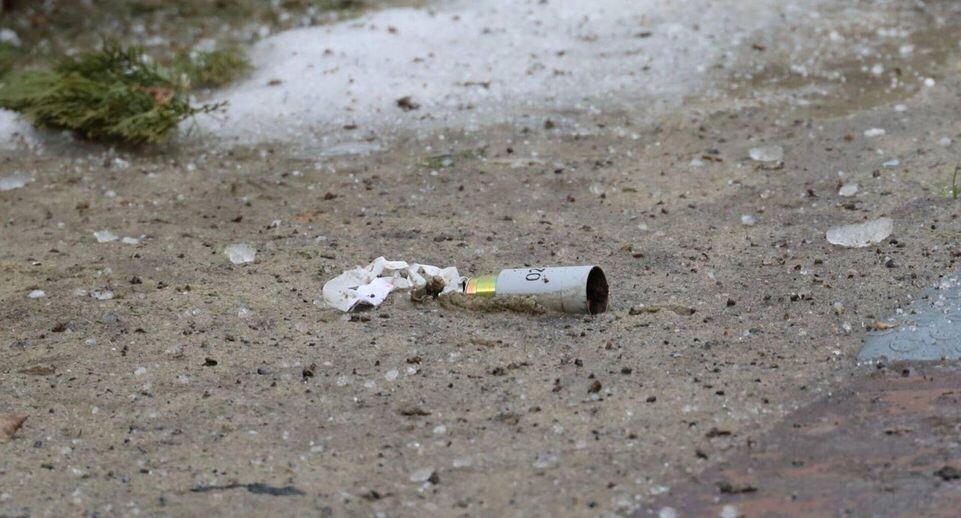    РИА «Новости»