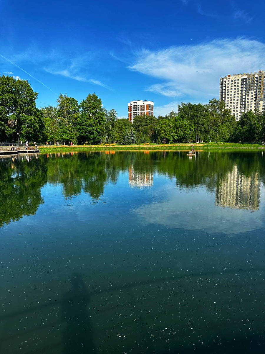Вот один из прудов в Москве. 