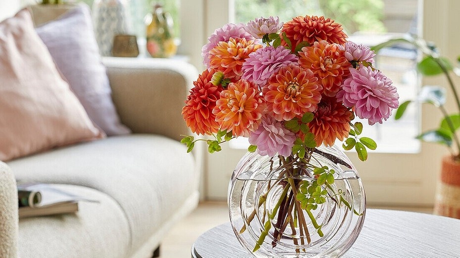 Living4media/Fotodom.ru