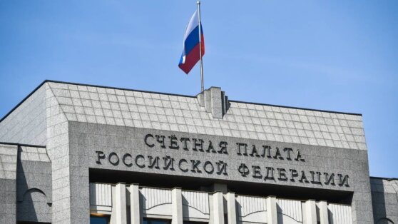    РБК: Счетная палата проверит эффективность налогового режима для самозанятых Алина Городниченко