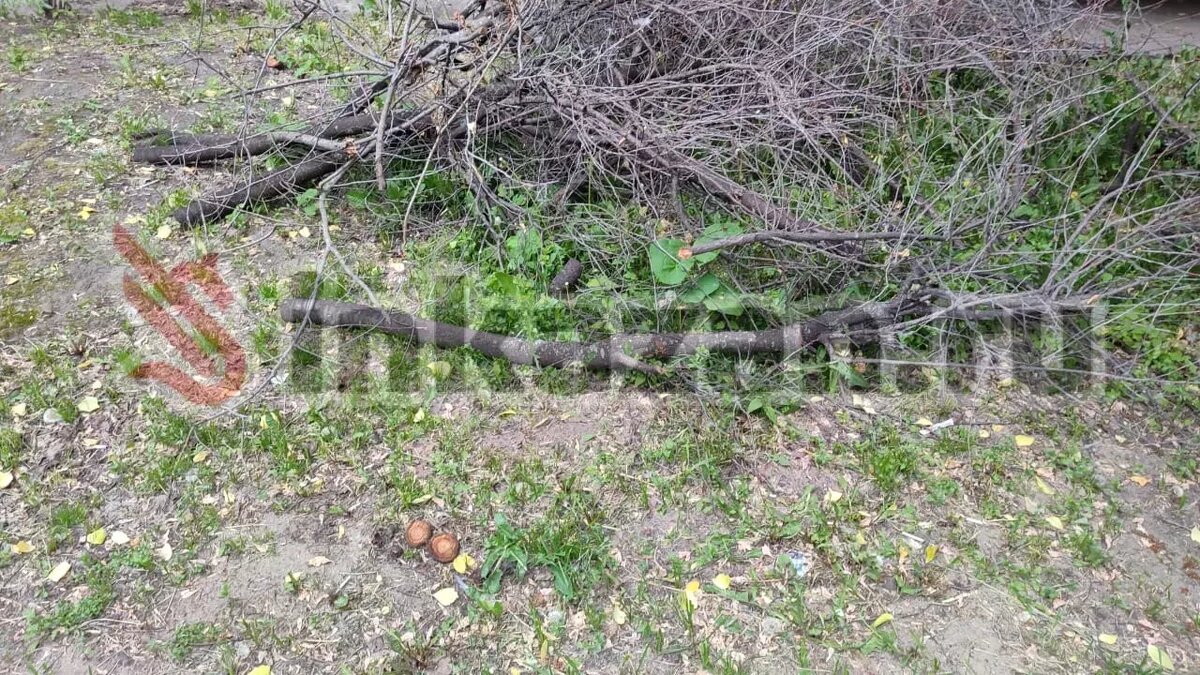     Автор: Максим Источник: inkazan.ru