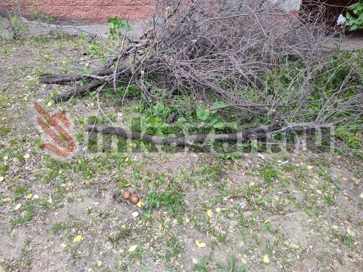     Автор: Максим Источник: inkazan.ru