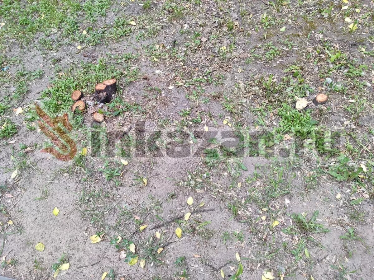     Автор: Максим Источник: inkazan.ru