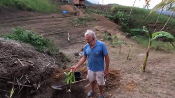 Батя чистит участок | Соседи будут сажать сахарный тростник | Жизнь в деревне | Посадили манго