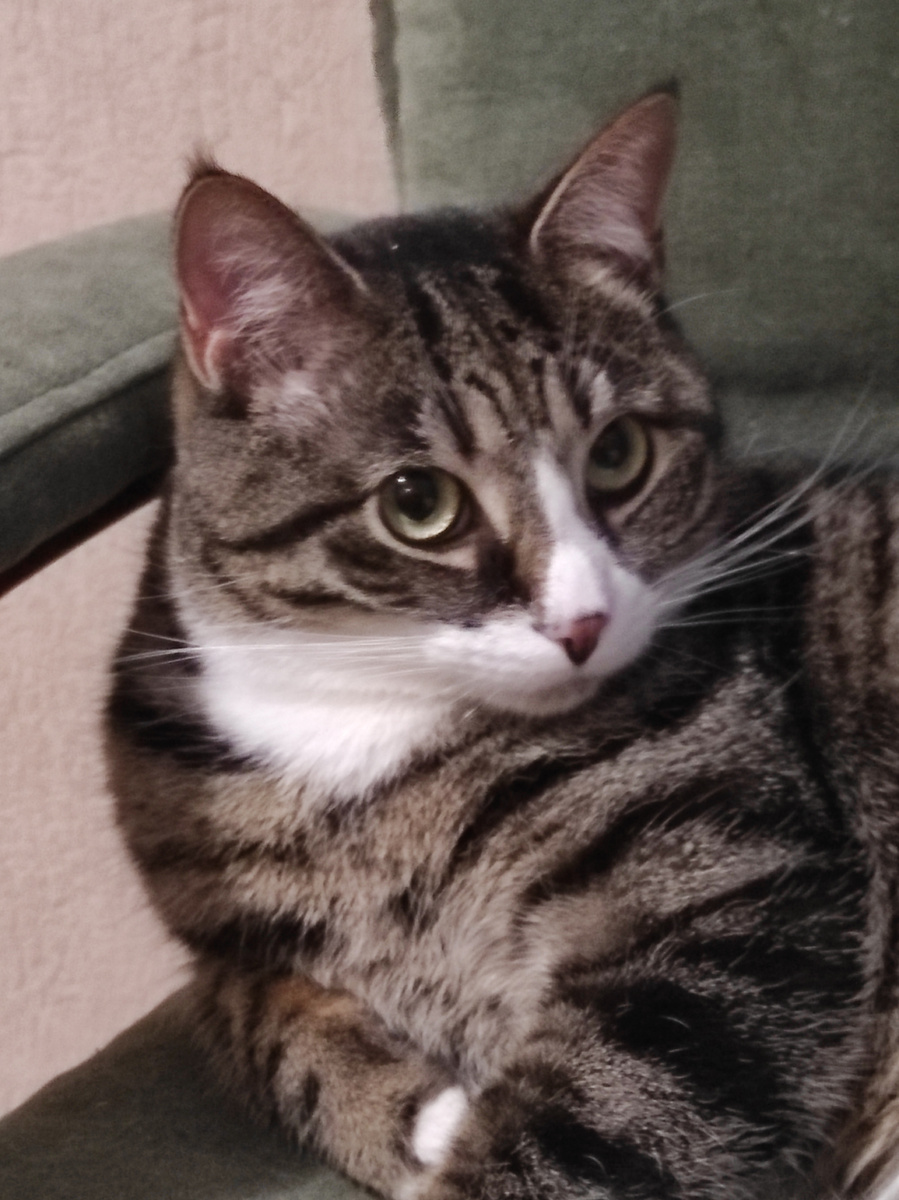 Я верила в неё и надеялась, что она станет домашней и любимой.