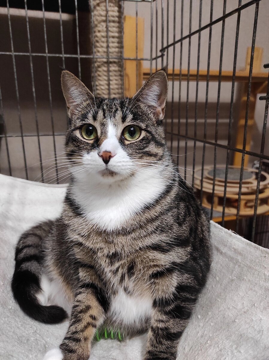 Уже позирует на камеру! Начинаем искать дом!