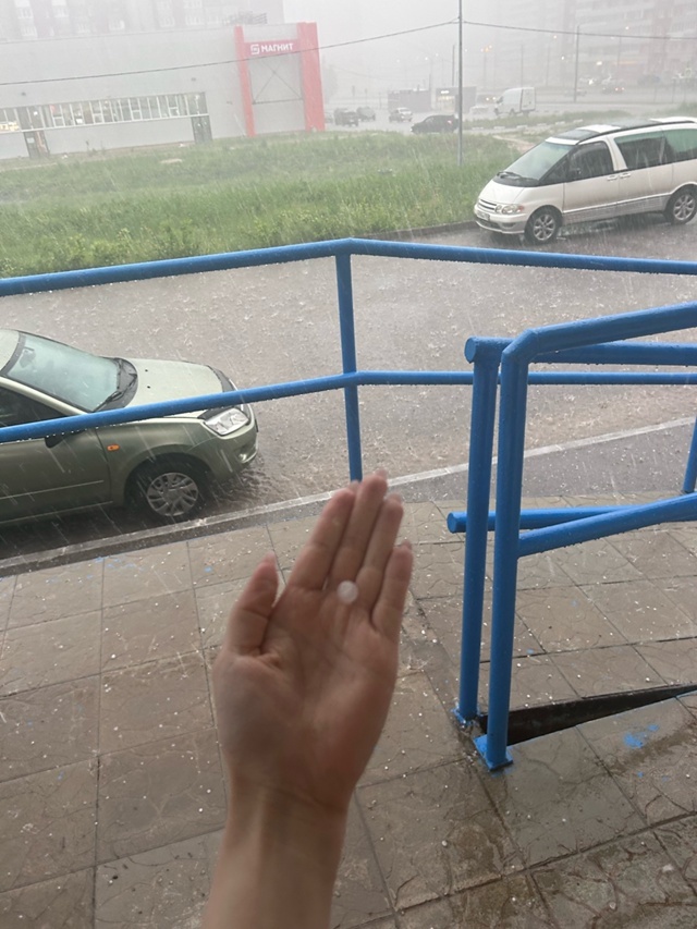    фото: Наталья Тимошенко © ВКонтакте